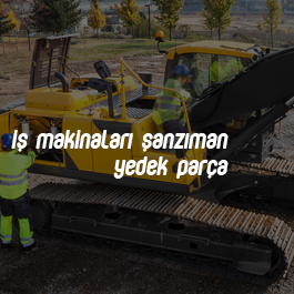 İş Makinaları Şanzıman Yedek Parça